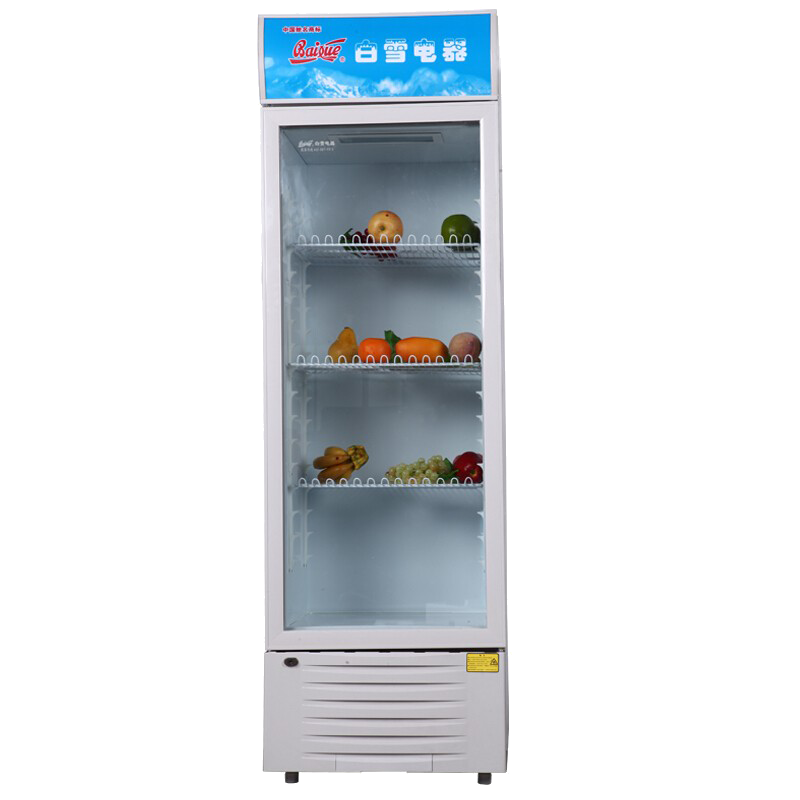 白雪 商用立式冰柜