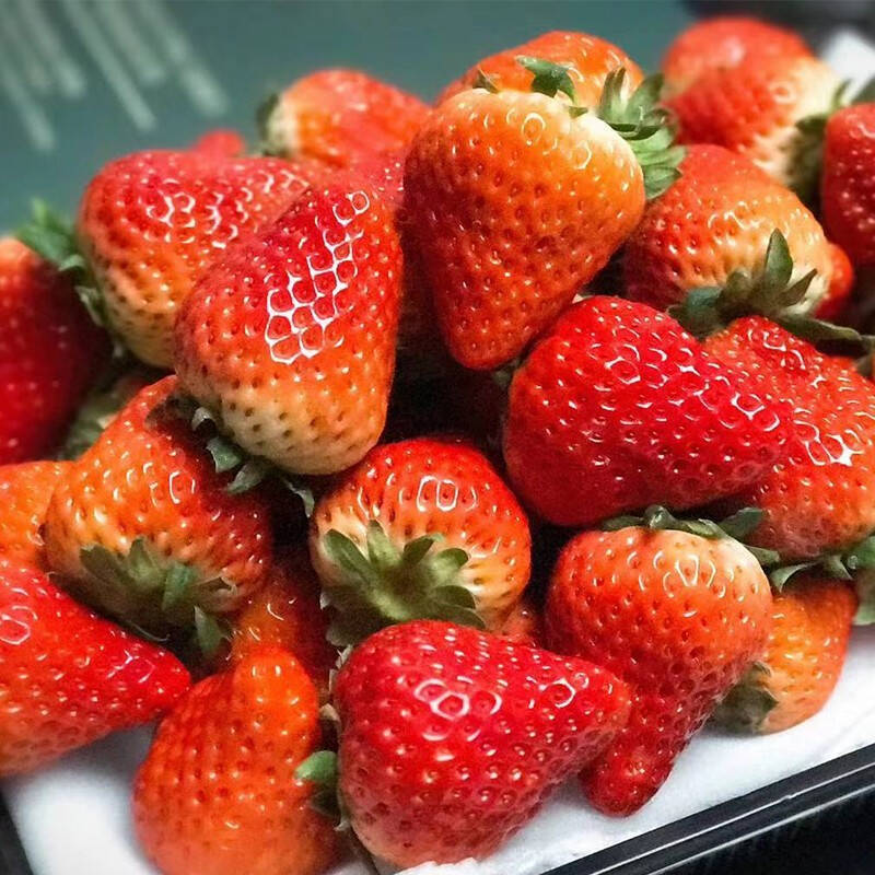 若亦果业 营养丰富草莓