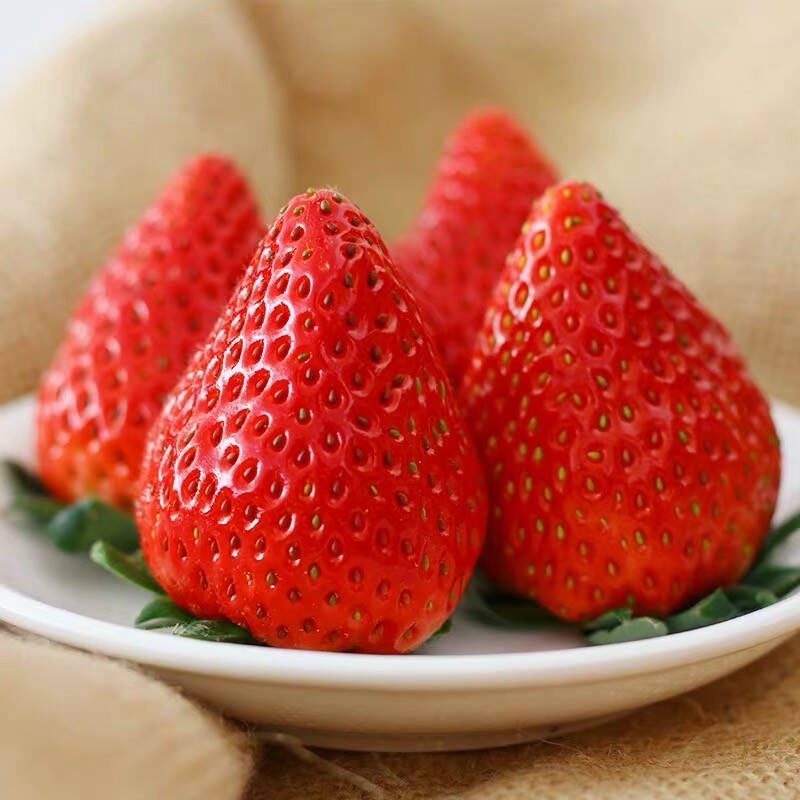 永刚农场 果味浓香草莓
