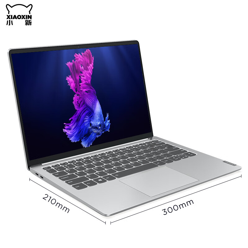 联想小新Pro13笔记本电脑， 2020款13.3英寸10代I5