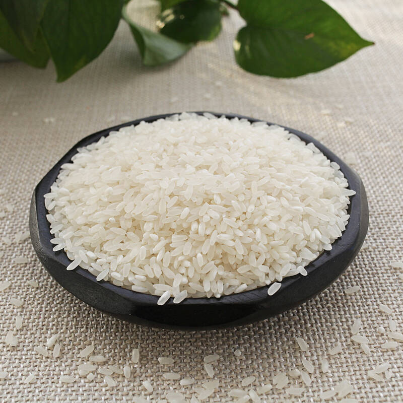 米粒饱满，鲜大米油光透亮很润滑图片1