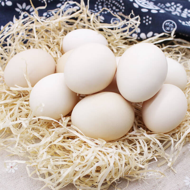 富润世黄河滩区鸡蛋