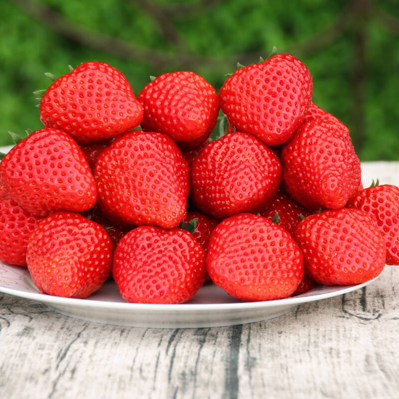 同城果鲜 口感清甜草莓