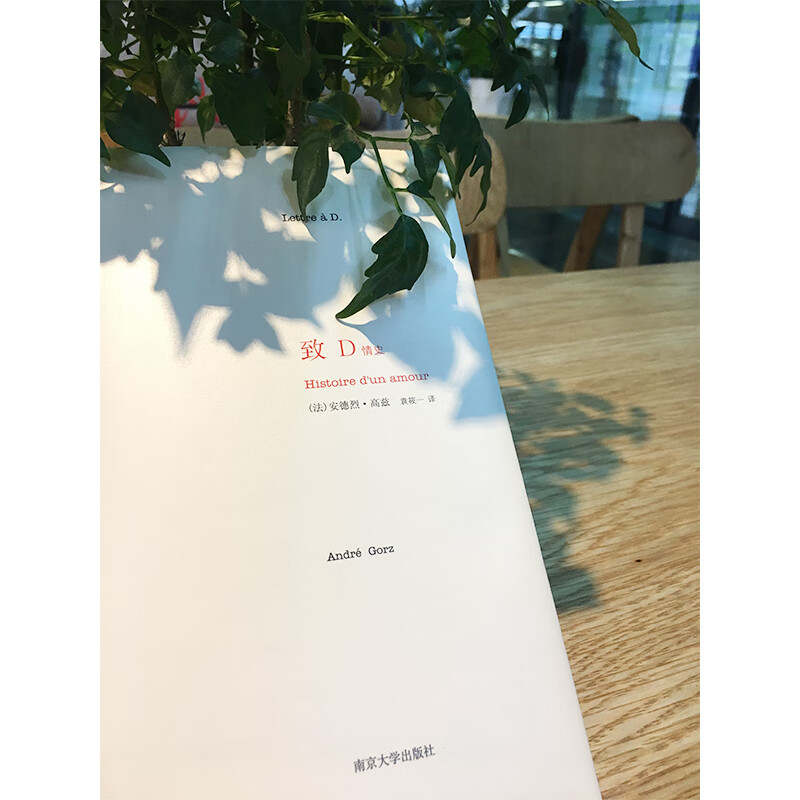 致D情史，送给情人节女友礼物