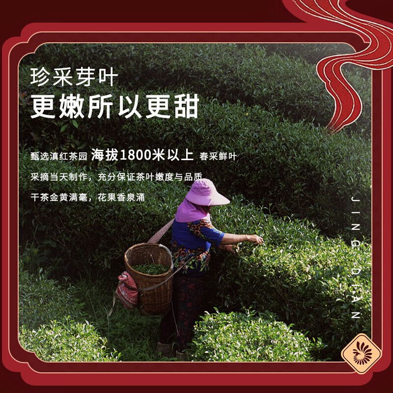 凤牌经典58特级滇红茶，“平民公主”经典口粮茶