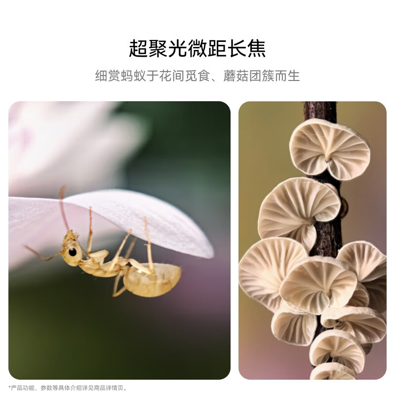 HUAWEI Pura 70 Pro，配置多了不少，售价6499元起步