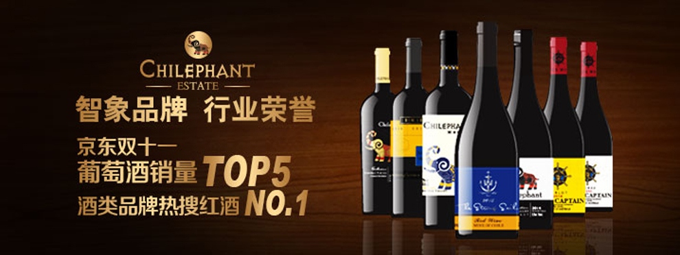 智象红酒节促销