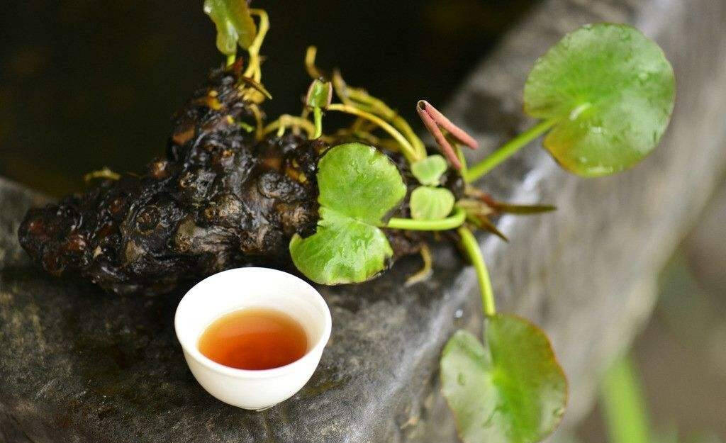 武夷岩茶大红袍是拼配的好还是单