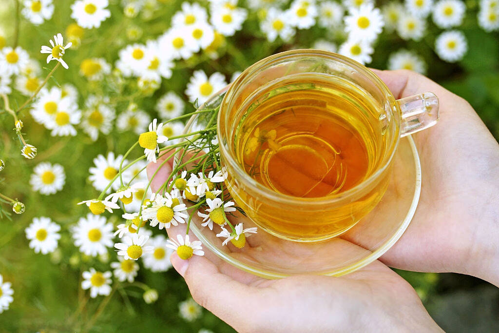 美颜养生花茶来袭，温润肠胃沁心