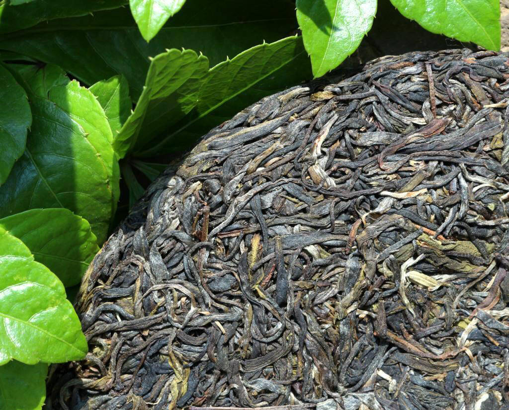 同一种料，散茶与饼茶有何不同？