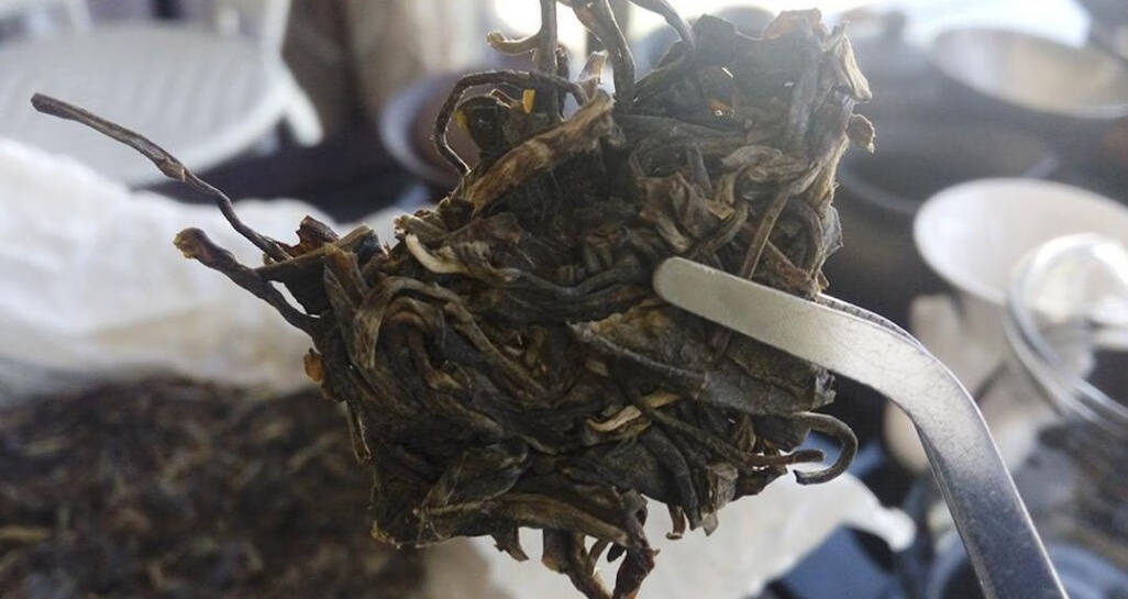 普洱茶饼正确的撬茶手法，你知道