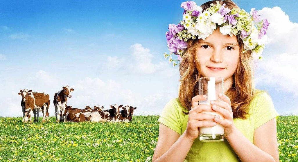 自然高营养的纯牛奶，..