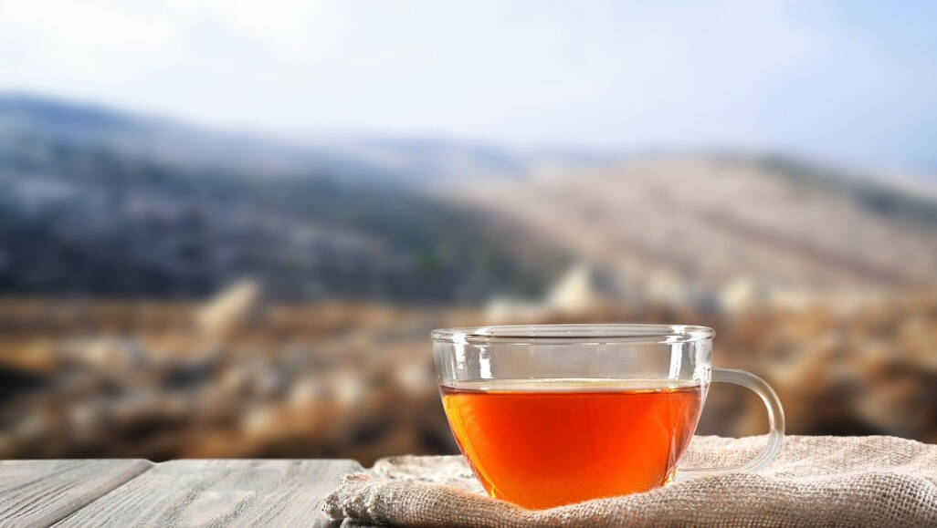 日常口臭真的好尴尬，口臭茶挽回