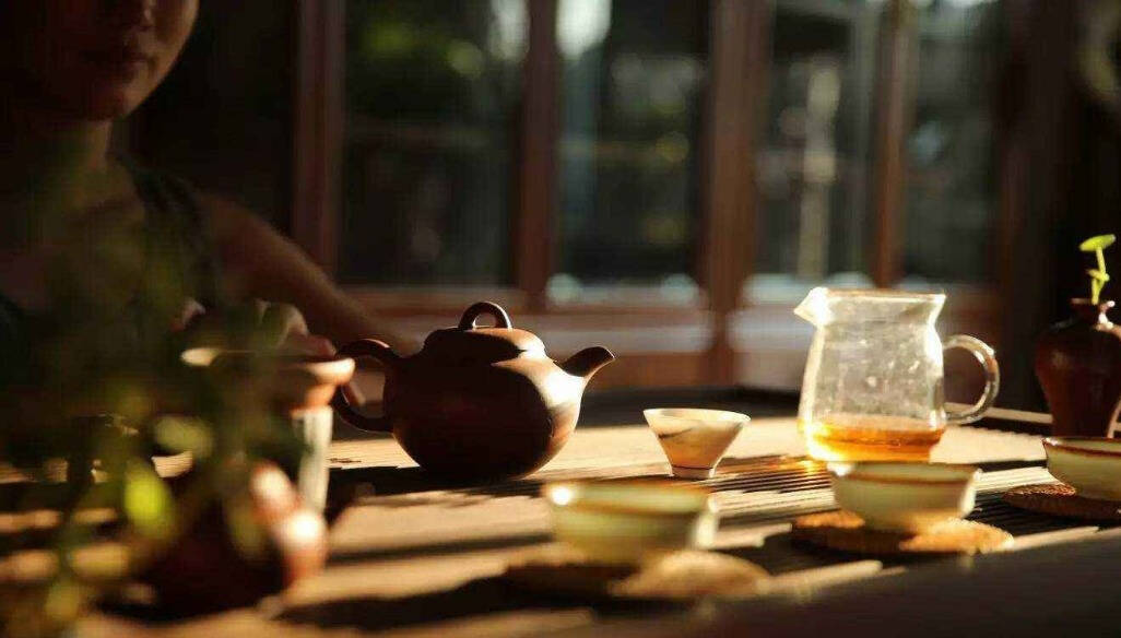 万万没想到，茶渣的信息量这么大