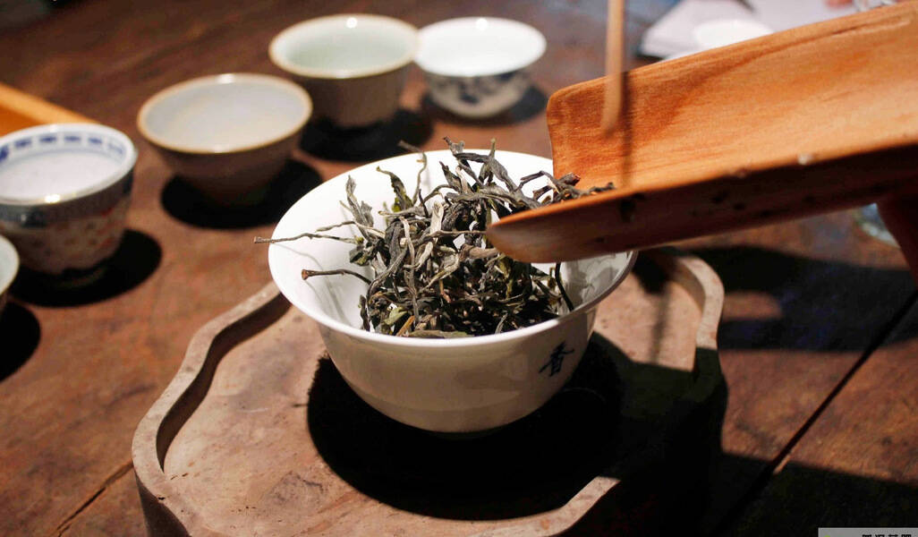 人生沉浮如茶，一盏苦如茶香亦如