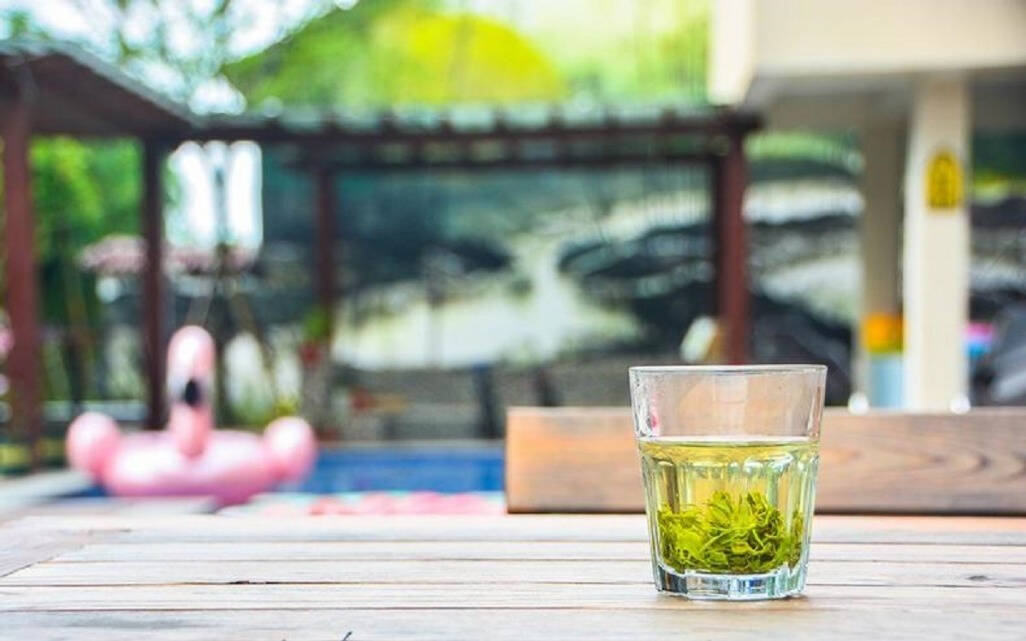 作为我国的主要茶类之一，绿茶既能生津止渴，又颇有保