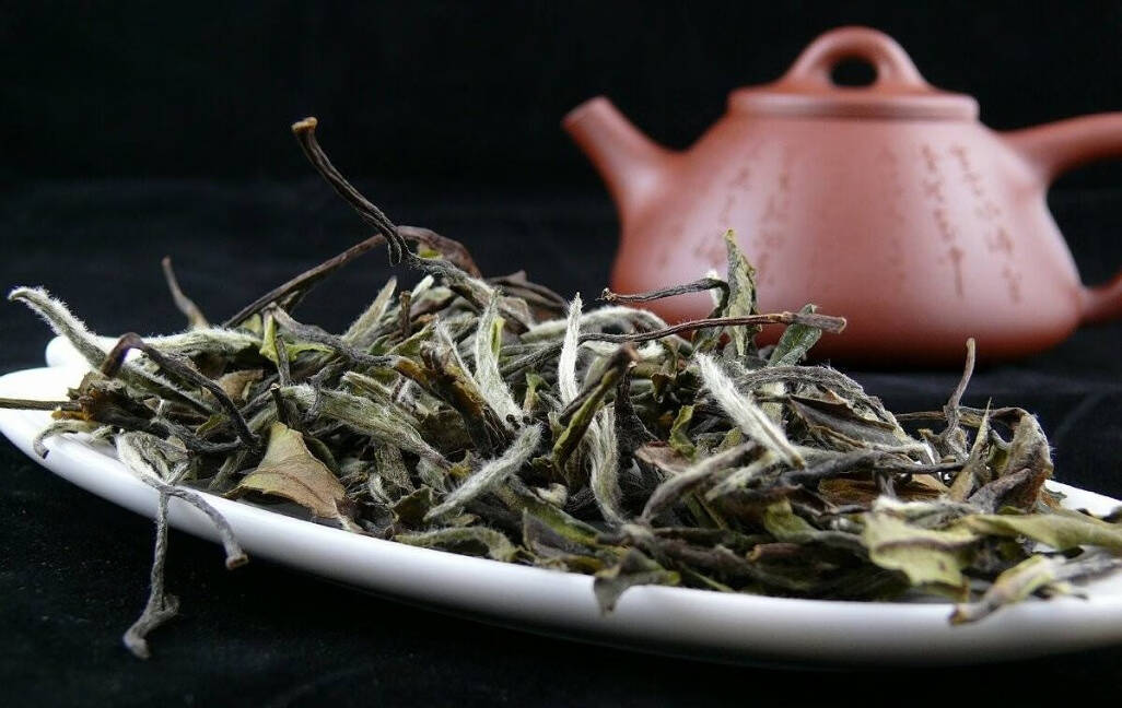 冲泡白茶时，闷泡，坐杯，留根，