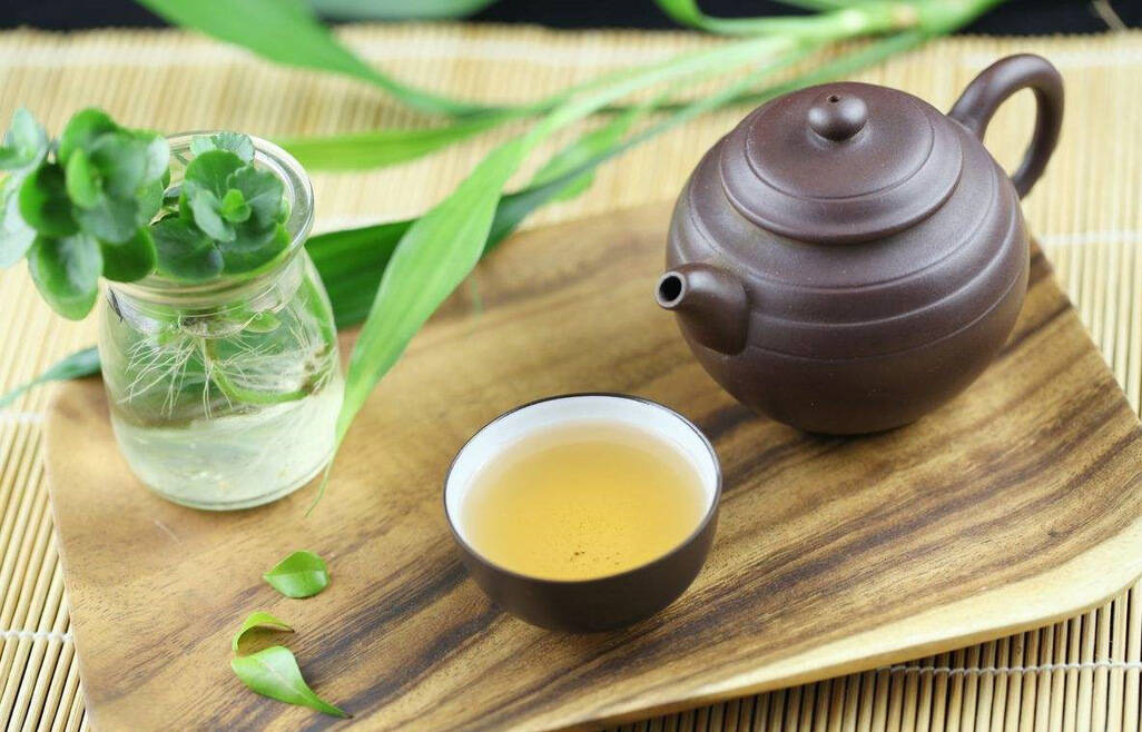 存放白茶，从新茶到老茶，感受日