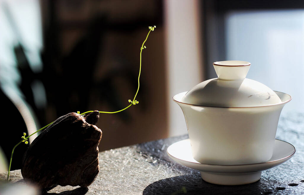 用一场茶的盛宴,品味生命的恩泽