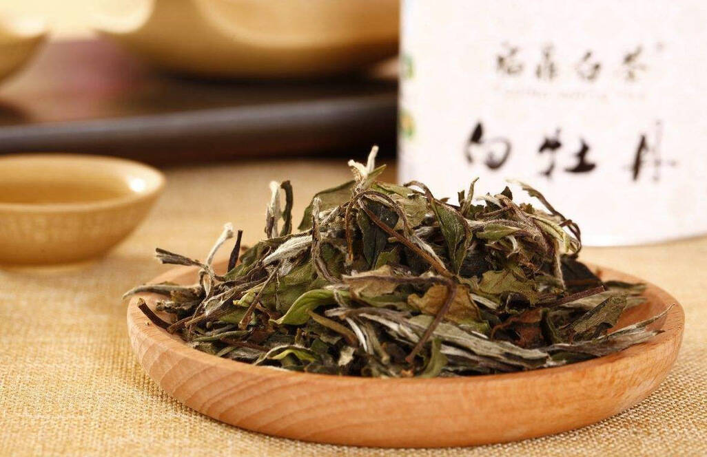 老白茶可泡饮，也可煮饮，老茶客