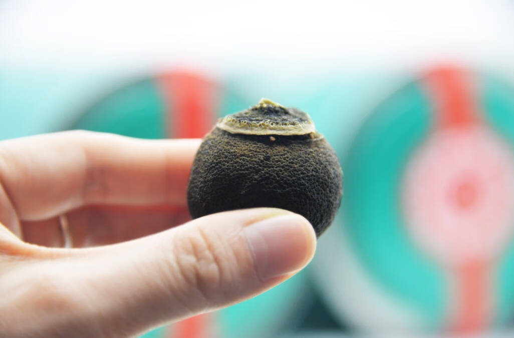 普洱茶越陈越香，小青柑可以长期