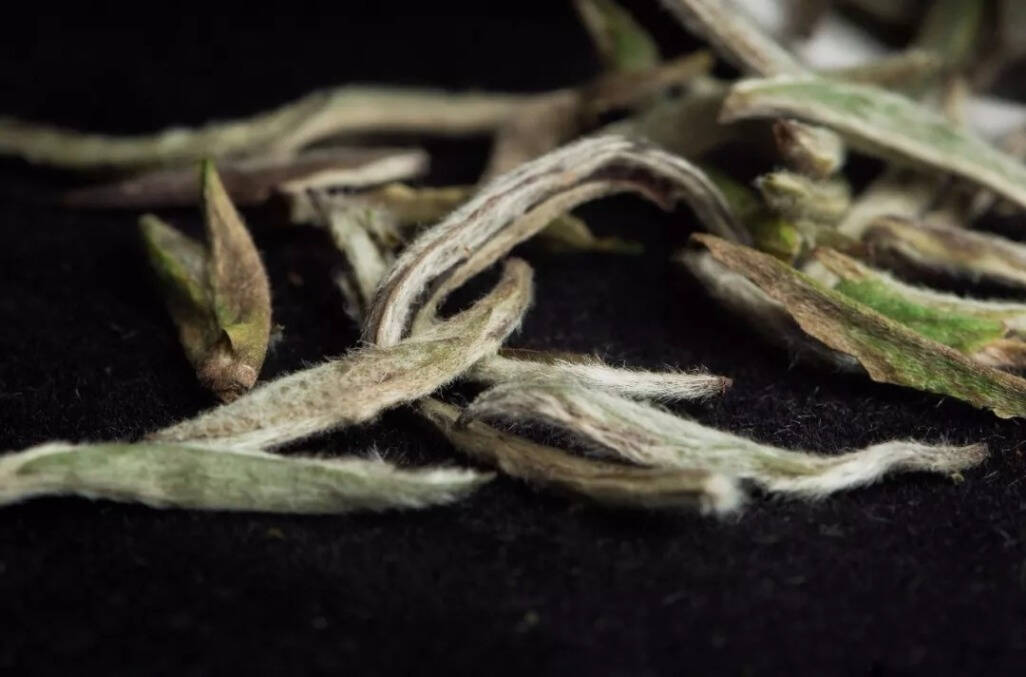 白茶：干净是好的品质