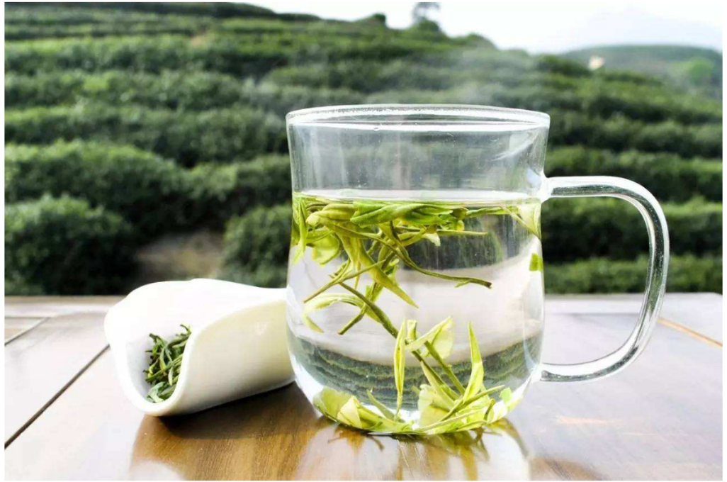 喝茶小知识。告诉你一年中四季怎