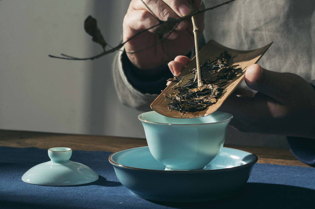 福鼎白茶的这些伪概念你要弄明白