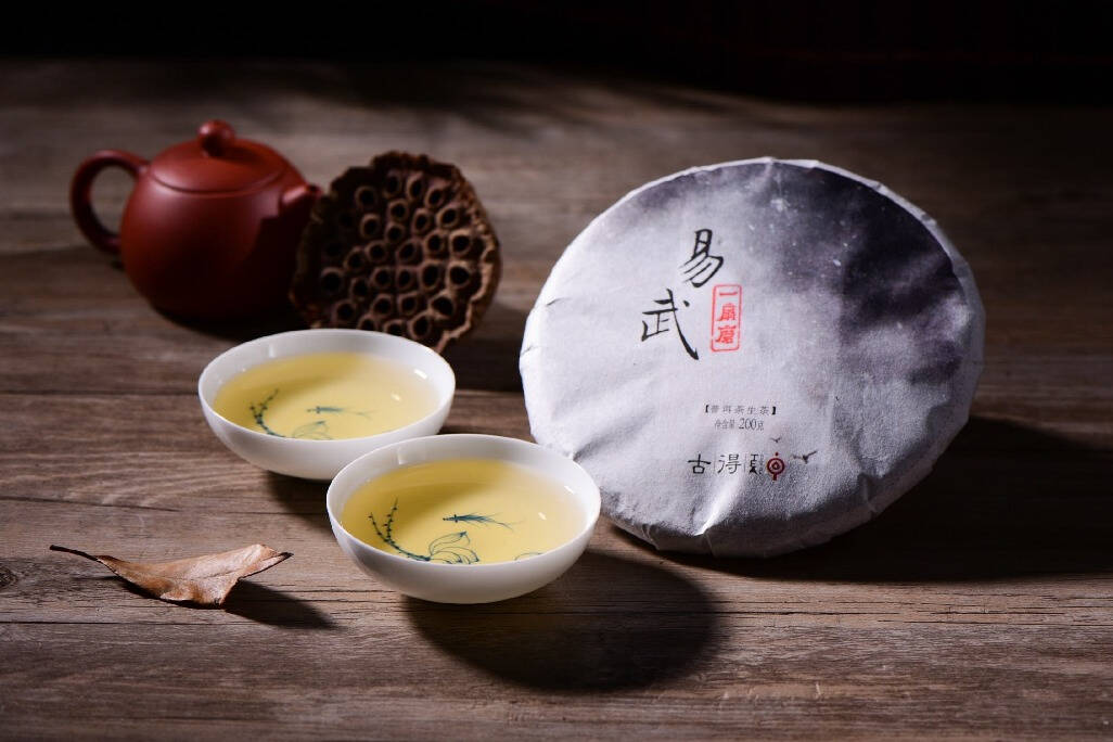 叶大叶厚就一定是古树茶吗？教你