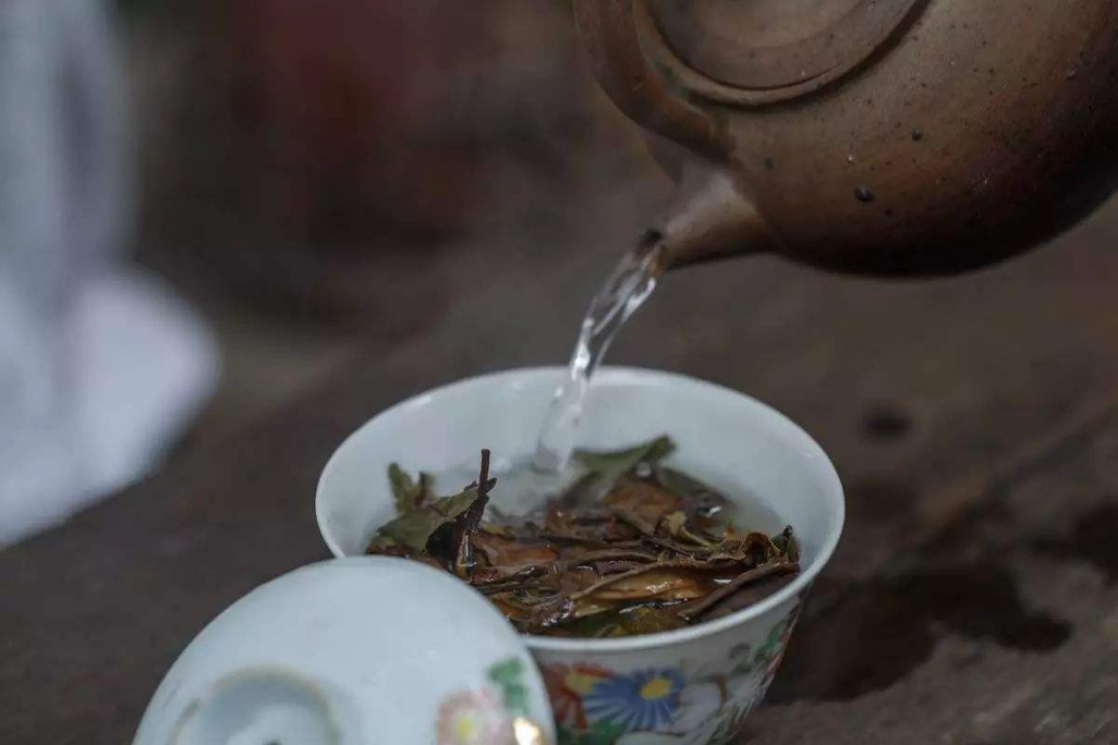 白茶素爲茶中珍品，曆史悠久，具有解酒醒酒、清熱潤肺