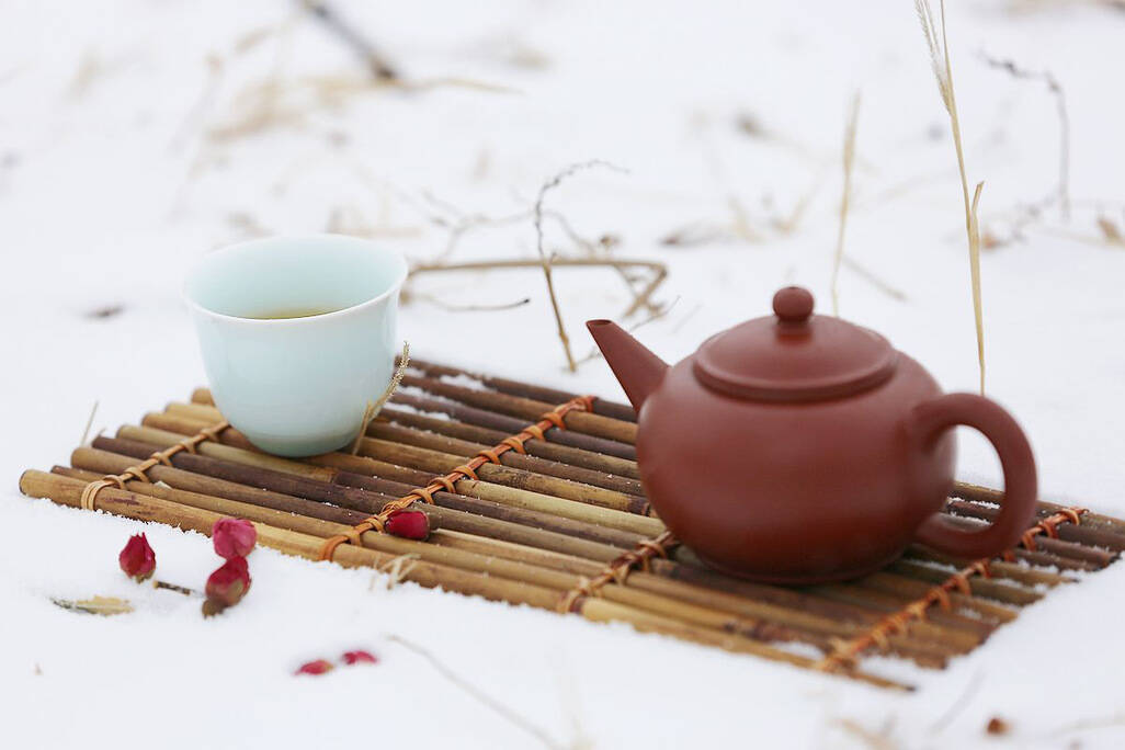 存放白茶，从新茶到老茶，感受日