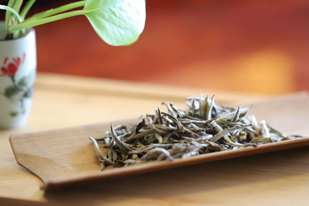 衆所周知，白茶屬于發酵茶，而對于很多的發酵茶來說，