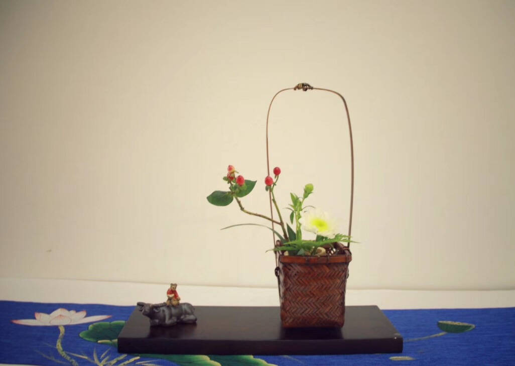 中医角度，普洱茶和其他茶有什么