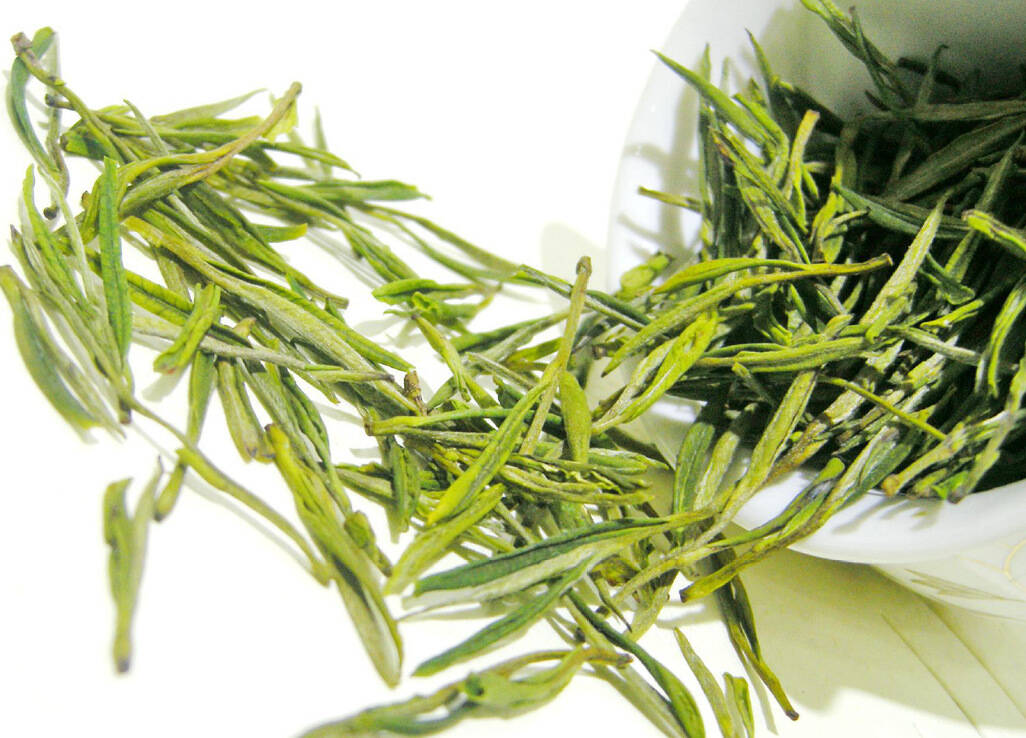 白茶越陈越香，年份宝，安吉白茶
