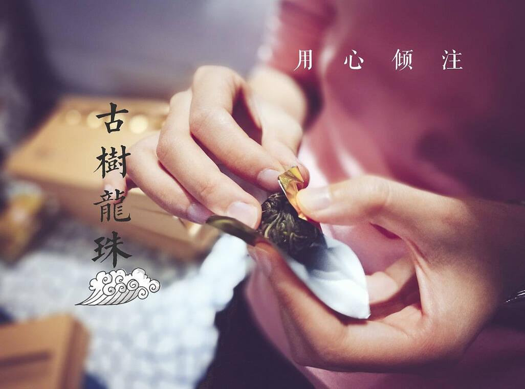 全面了解沱茶中的新贵龙珠普洱茶