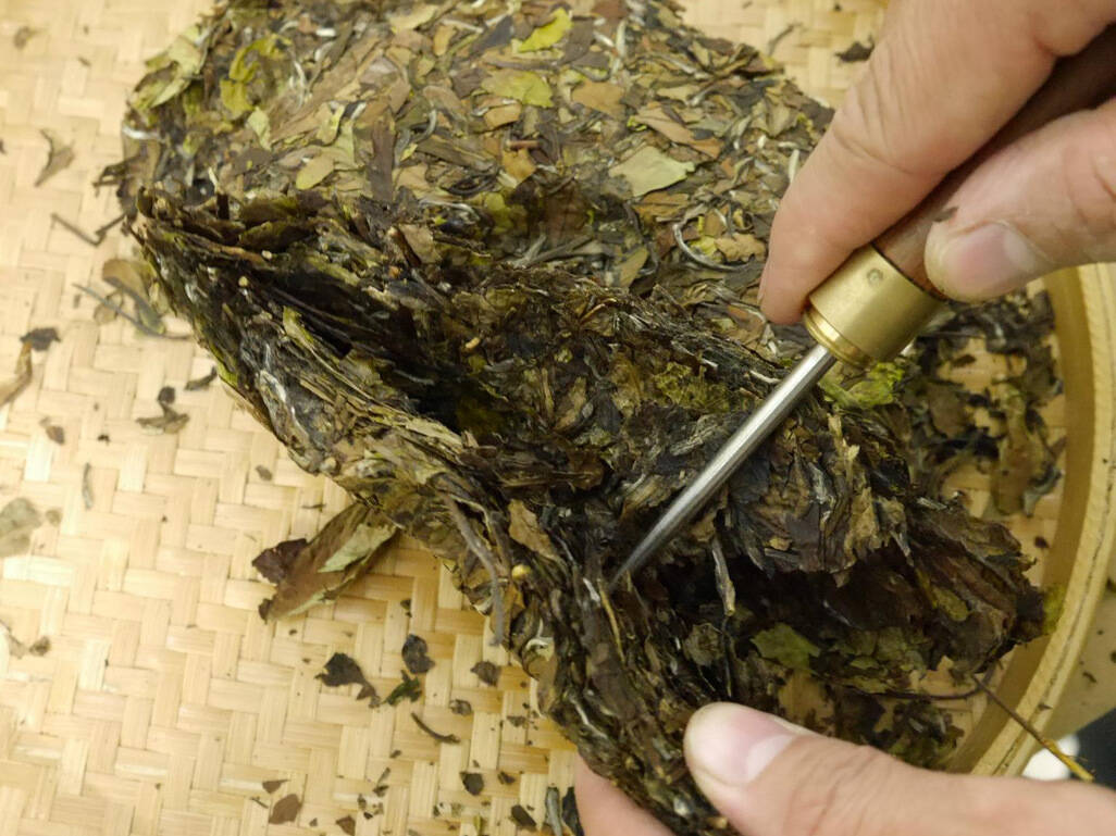 白茶的茶色为什么是白色？有哪些
