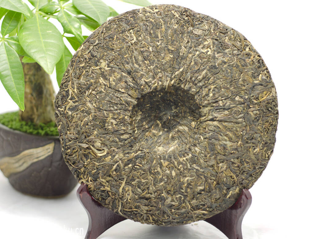 普洱茶大叶种和小叶种的区别，你