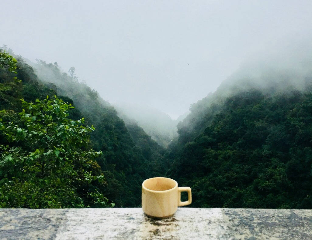 冬季降临，不如来一杯热乎乎的普