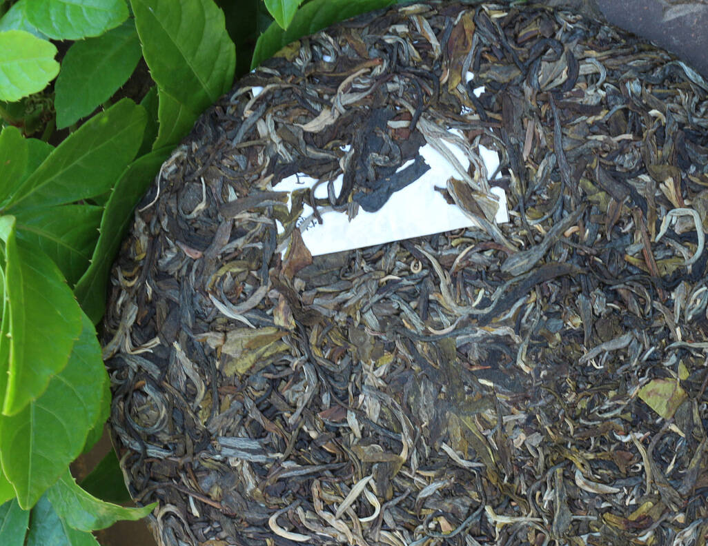 普洱茶的制作原料是晒青毛茶，为