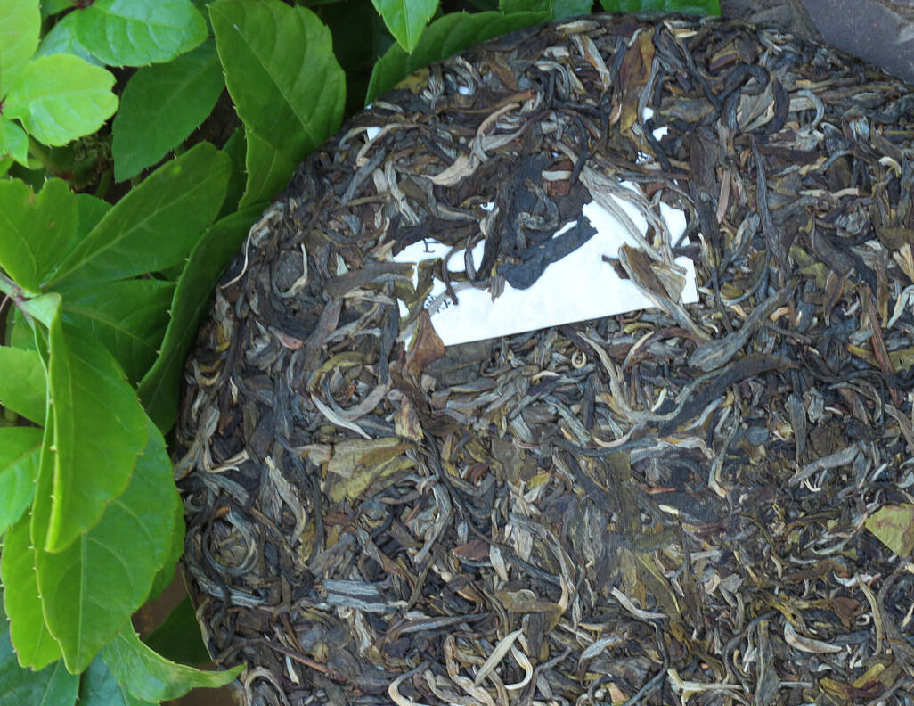 普洱茶初制的加工流程:不同制茶