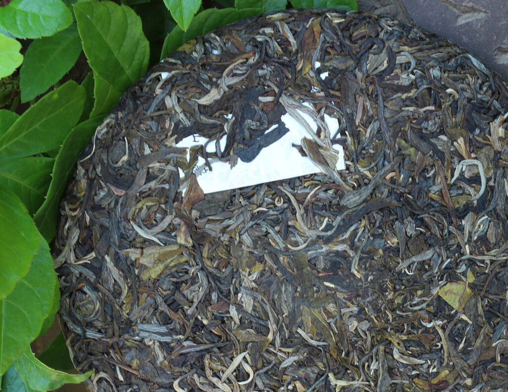 回南天，多潮湿，雨季如何保存普