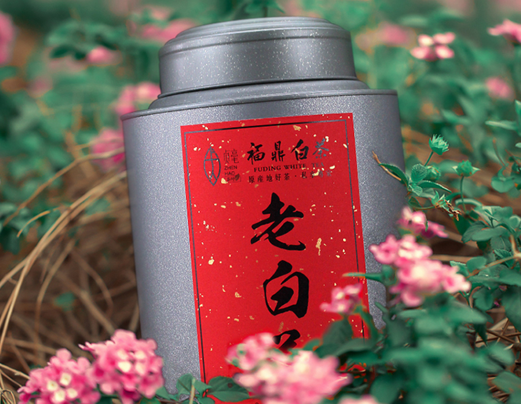 既然喜欢喝茶,那么就一定要讲究