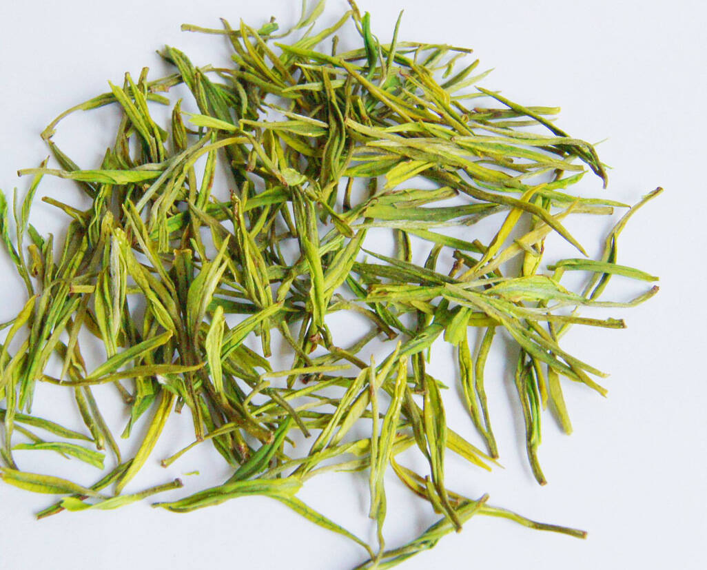 夏饮绿茶正当时，绿茶为什么不能