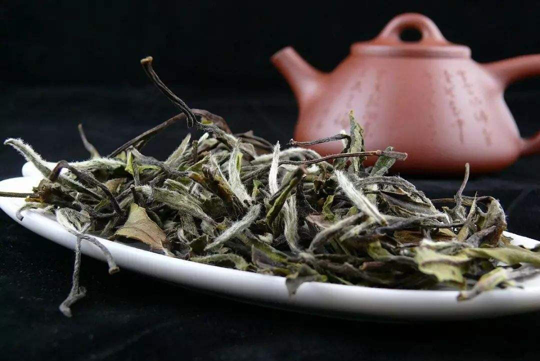 上一年的中秋节，你喝的是什么茶？普洱、铁观音、还是