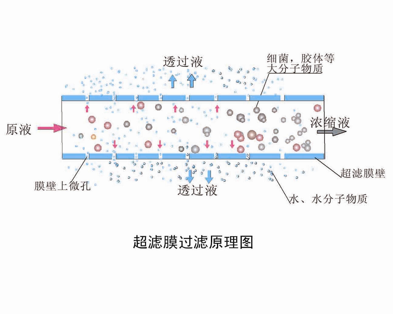 8999元的小米净水器喝水是什么样的体验?