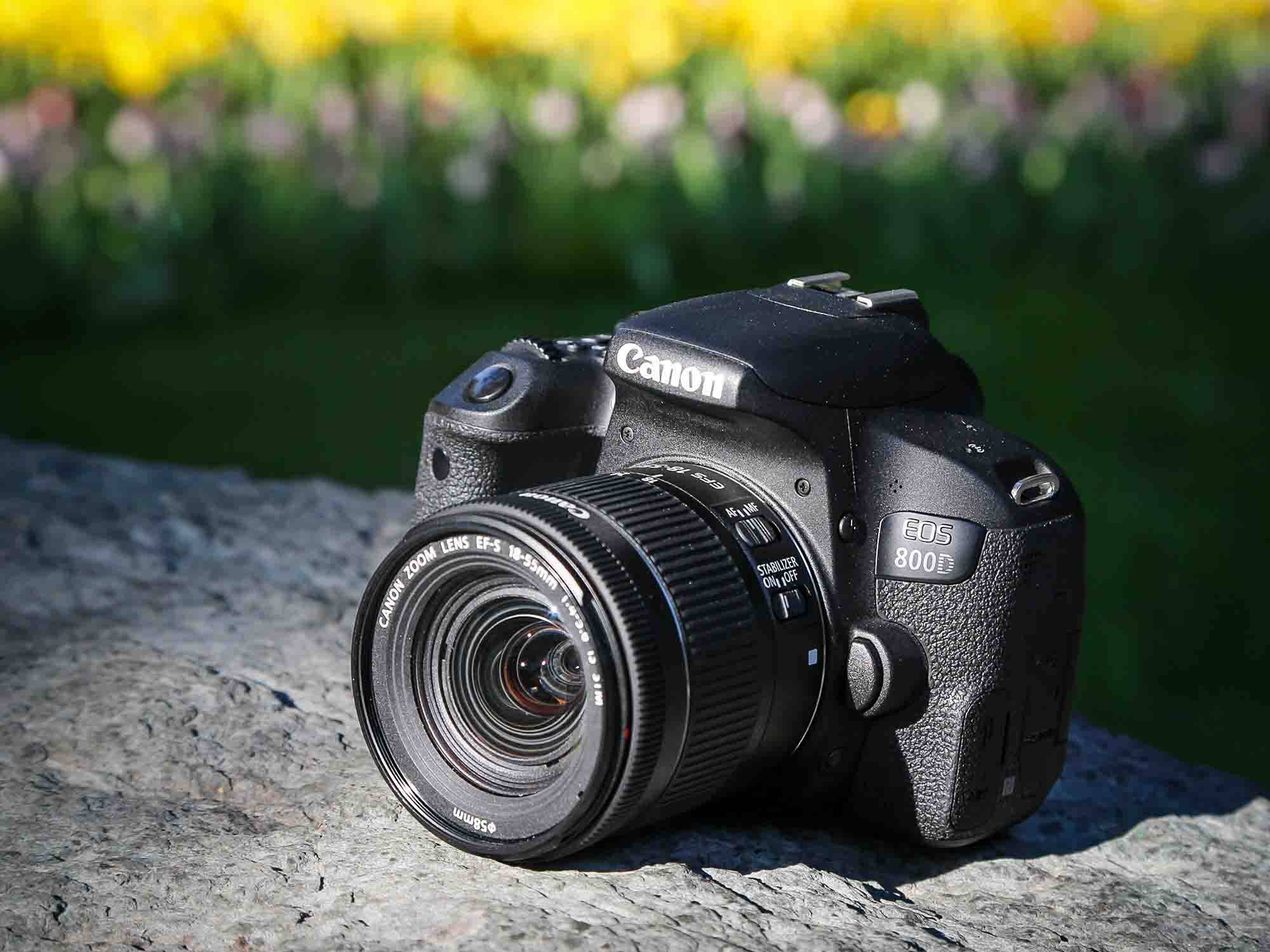 canoneos600d佳能数码单反使用手册_佳能数码单反相机800型_eos 50d佳能数码单反使用手册