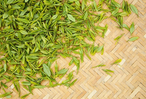 豆果美食朱虹