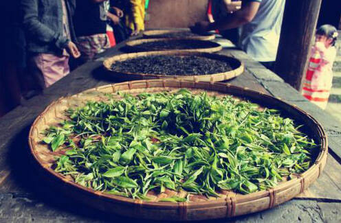 普洱茶陈化和转化是不同的，你造