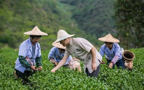 中国的茶文化历史悠久。中国现在有各种各样的茶。它们