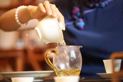 茶应该怎么泡？所有的茶都可以使